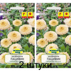 Календула Пацифик кремово-белая, 2г (N.L.Chrestensen, Германия) -2шт