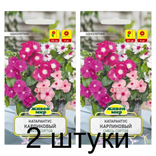 Семена Катарантус розовый Карликовый смесь сортов (W. Legutko) 0,1 г, РБ -2шт