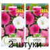 Семена Лаватера смесь сортов (W. Legutko) 1 г, РБ -2шт Семена Лаватера смесь сортов (W. Legutko) 1 г, РБ -2шт