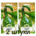 Лагенария Кобра, семена 3шт (W. Legutko, Польша) -2шт
