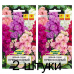 Семена Левкой седой Превосходный смесь сортов (W. Legutko) 0,2 г, РБ -2шт