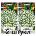 Семена Лобелия Белая леди (W. Legutko) 0,1 г, РБ -2шт Семена Лобелия Белая леди (W. Legutko) 0,1 г, РБ -2шт