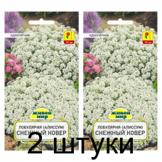 Семена Лобулярия (Алиссум) Снежный ковер (W. Legutko) 0,3 г, РБ -2шт