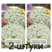 Семена Лобулярия (Алиссум) Снежный ковер (W. Legutko) 0,3 г, РБ -2шт Семена Лобулярия (Алиссум) Снежный ковер (W. Legutko) 0,3 г, РБ -2шт
