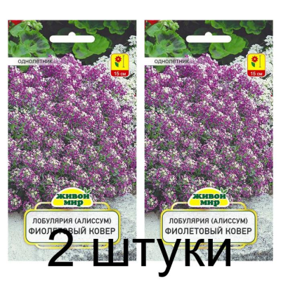 Семена Лобулярия (Алиссум) Фиолетовый ковер (W. Legutko) 0,3 г, РБ -2шт