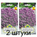Семена Лобулярия (Алиссум) Фиолетовый ковер (W. Legutko) 0,3 г, РБ -2шт Семена Лобулярия (Алиссум) Фиолетовый ковер (W. Legutko) 0,3 г, РБ -2шт