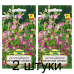 Семена Маттиола двурогая Вечерний аромат (N.L.Chrestensen) 1 г, РБ -2шт