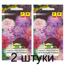 Семена Скабиоза темно-пурпурная Крупноцветковая смесь сортов (W. Legutko) 0,3 г, РБ -2шт