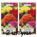 Семена Целозия гребенчатая Высокая смесь сортов (W. Legutko) 0,3 г, РБ -2шт