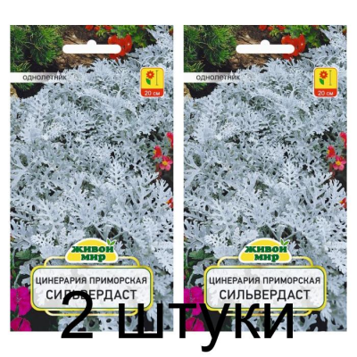 Семена Цинерария приморская Сильвердаст (W. Legutko) 0,1 г, РБ -2шт