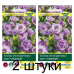 Эустома крупноцветковая АВС F1 Лавендер, 5 семян (PanAmerican Seed, США) -2шт