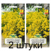 Семена Алиссум скальный Золотистый (W. Legutko) 0,3 г, РБ -2шт
