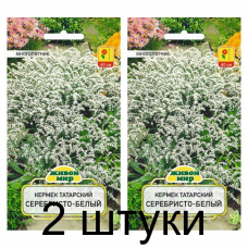 Семена Кермек татарский Серебристо-белый (W. Legutko) 0,1 г, РБ -2шт