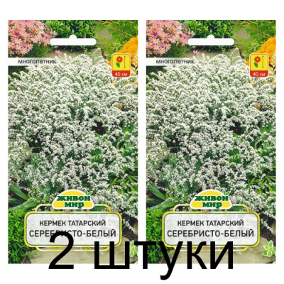 Семена Кермек татарский Серебристо-белый (W. Legutko) 0,1 г, РБ -2шт