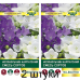 Колокольчик карпатский, смесь сортов 0,1г (W. Legutko, Польша) -2шт
