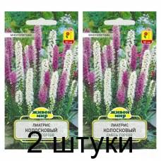Семена Лиатрис колосковый смесь сортов (W. Legutko) 0,3 г, РБ -2шт