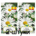 Семена Нивяник наибольший Аляска (W. Legutko) 0,5 г, РБ -2шт