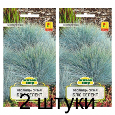 Семена Овсяница сизая Блю селект (W. Legutko) 0,2 г, РБ -2шт