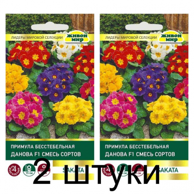 Семена Примула Данова F1 смесь сортов (Sakata) 5 шт, РБ -2шт