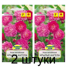Семена Роза китайская Крылья Ангела (W. Legutko) 10 шт, РБ -2шт