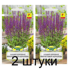 Семена Сальвия дубравная Фиолетовая Королева (W. Legutko) 0,3 г, РБ -2шт