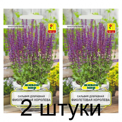 Семена Сальвия дубравная Фиолетовая Королева (W. Legutko) 0,3 г, РБ -2шт