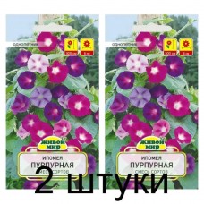 Ипoмeя пypпypнaя Скapлeтт O Хapa (N.L.Chrestensen) 2 г, РБ -2шт