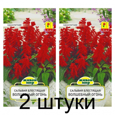 Семена Сальвия блестящая Волшебный огонь (W. Legutko) 0,2 г, РБ -2шт