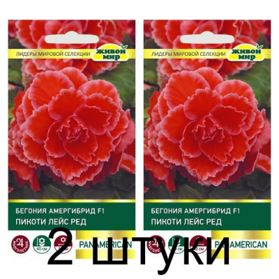 Бегония амергибрид Пикоти Лейс Ред F1 , 5 семян (PanAmerican Seed - Живой Мир) -2шт