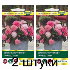 Бегония амергибрид Раффлд Пинк F1, 5 семян (PanAmerican Seed, США) -2шт