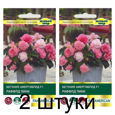 Бегония амергибрид Раффлд Пинк F1, 5 семян (PanAmerican Seed, США) -2шт