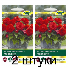 Бегония амергибрид Раффлд Ред F1, 5 семян (PanAmerican Seed, США) -2шт