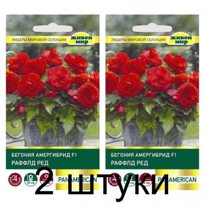 Бегония амергибрид Раффлд Ред F1, 5 семян (PanAmerican Seed, США) -2шт