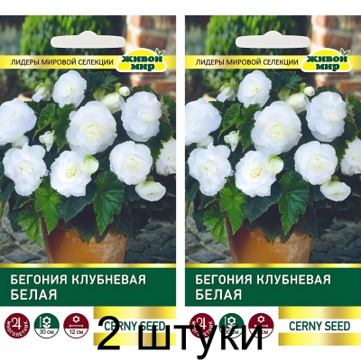 Бегония клубневая крупноцветковая Белая (Cerny seed, Чехия) -2шт