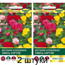 Бегония клубневая крупноцветковая Смесь сортов, 10 семян (Cerny seed, Чехия) -2шт