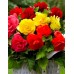 Бегония клубневая крупноцветковая Смесь сортов, 10 семян (Cerny seed, Чехия) -2шт