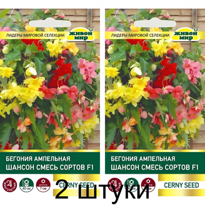 Бегония клубневая ампельная Шансон Смесь F1, 10 семян (Cerny seed, Чехия) -2шт