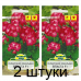 Семена Пеларгония зональная Власта F1 (Cerny seed) 3 шт, РБ -2шт