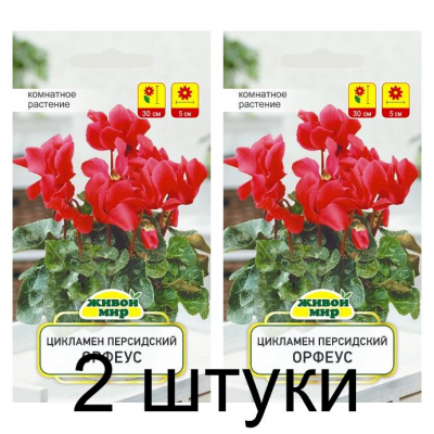 Семена Цикламен персидский Орфеус (Cerny seed) 3 шт, РБ -2шт