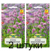 Семена Душица обыкновенная (W. Legutko) 0,1 г, РБ -2шт