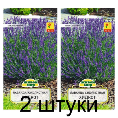 Семена Лаванда узколистная Хидкот (W. Legutko) 0,1 г, РБ -2шт