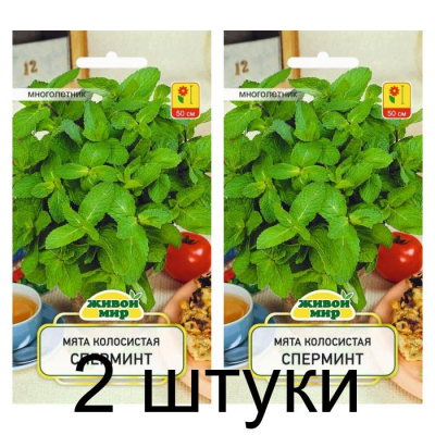 Семена Мята колосистая Сперминт (W. Legutko) 0,1 г, РБ -2шт