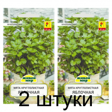 Семена Мята круглолистная Яблочная (W. Legutko) 0,1 г, РБ -2шт