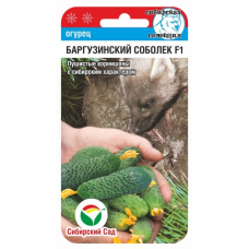 Семена Огурец БАРГУЗИНСКИЙ СОБОЛЕК F1 7шт (Сиб Сад)