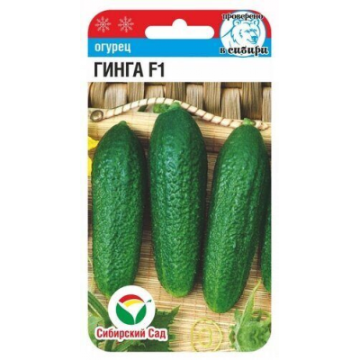 Семена Огурец Гинга F1 7шт (Сиб сад)