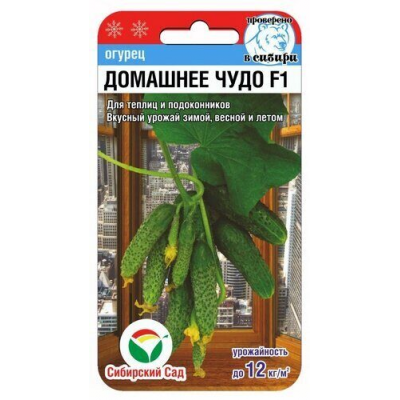 Семена Огурец Домашнее чудо F1 7шт (Сиб Сад)