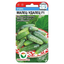 Семена Огурец Малец-удалец F1 7шт (Сиб сад)