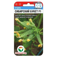Семена Огурец СИБИРСКИЙ БУКЕТ F1 7шт (Сиб Сад)