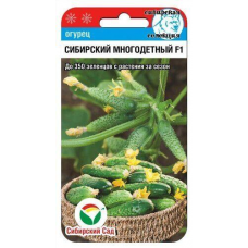 Огурец Сибирский многодетный F1, 7 семян (Сибирская селекция)