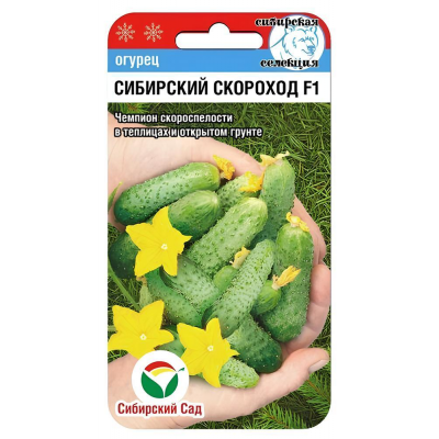 Огурец Сибирский скороход F1,  7 семян (Сибирская селекция)